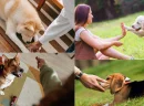 Evde Köpek Eğitiminin Önemi