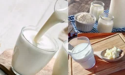 Kefirin Sağlıktaki Etkisi Neden Dikkat Çekiyor?