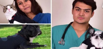 Köpek Ve Kedilerde Nefes Kokusunun Nedeni