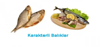 Balıklardan Balık Beğenin