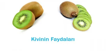 Kalbiniz İçin Kivi Yiyin