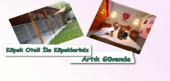 Köpek Oteli İle Köpekleriniz Artık Güvende