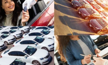 What are the Car Rental Options?