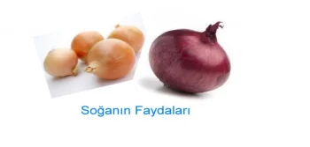 Soğanın Sayısız Faydaları