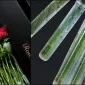 What Makes RoseBox Roses Different?