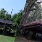 Safra Yolu Kanseri