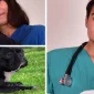 Köpek Ve Kedilerde Nefes Kokusunun Nedeni