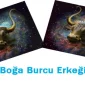 Boğa Burcu Erkeği