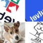 Veteriner Klinik Programı