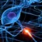 Epilepsi Ameliyatı ile Tedavi Mümkün Müdür?