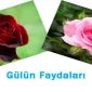 Don't Exclude Rose Water From Your Home