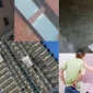 Dış Cephe Boyası Nedir 