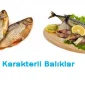 Balıklardan Balık Beğenin