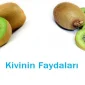 Kalbiniz İçin Kivi Yiyin