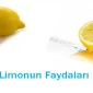 Limonun Pozitif Etkileri