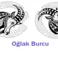 Oğlak Burcu Genel Özellikleri