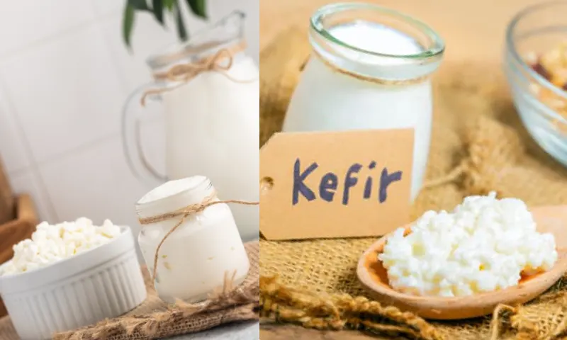 kefir-2-li-1