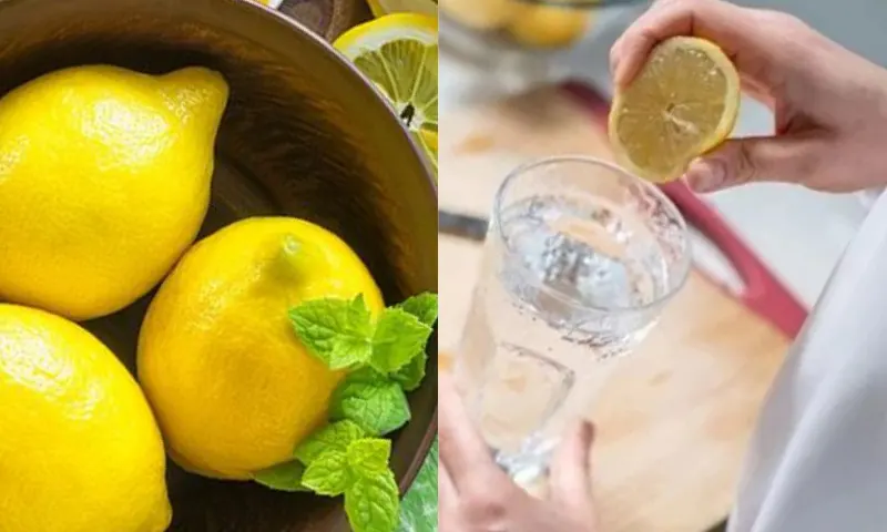 limontuketimi-2-li-1
